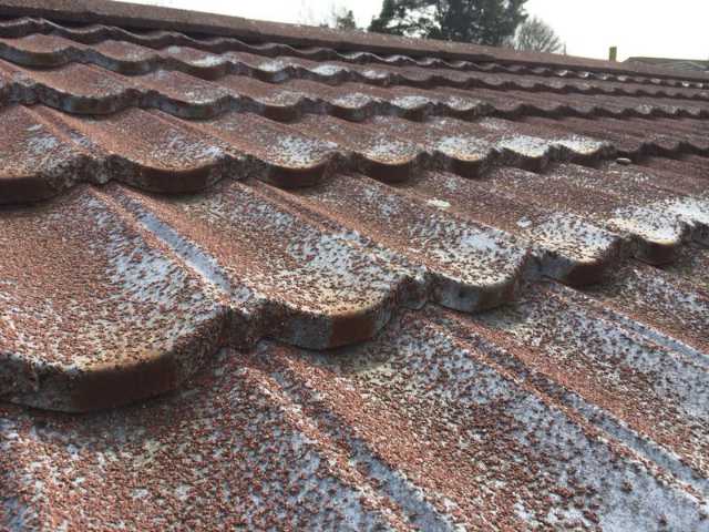 IMG-20140517-WA0007 IMG-20140517-WA0007